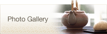 Photo Gallery