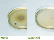 無殺菌/殺菌処理後