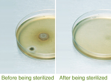 before being sterilized/after being sterilized